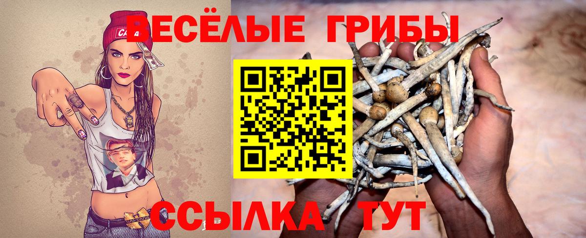 где найти   Псилоцибиновые грибы прущие грибы  Вход с VPN  Мичуринск  Псилоцибиновые грибы мухоморы 